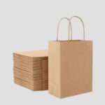 Paper Bags with Twisted Handles (Brown & White)